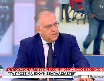 Θεοδωρικάκος: «Στα σούπερ μάρκετ οι τιμές φέτος είναι έως 2% κάτω – Έχουν εξαπλασιαστεί τα πρόστιμα στην αγορά»