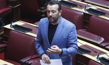 Νίκος Παππάς: «Θα στηρίξει ο κ. Μητσοτάκης νοικοκυριά και μικρομεσαίες επιχειρήσεις;»