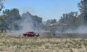 Υπό πλήρη έλεγχο οι φωτιές σε Χαλκιδική και Κιλκίς