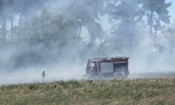 Χωρίς ενεργές εστίες η πυρκαγιά στο Βουπράσιο Αχαΐας – Δεν επεκτάθηκε στο δάσος της Στροφυλιάς