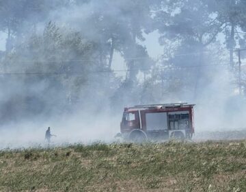 Φωτιά σε δασική έκταση στην Αχαΐα