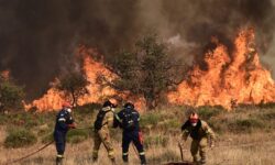 Μεγάλη φωτιά στην Κορινθία: Συνελήφθη μελισσοκόμος ως ύποπτος