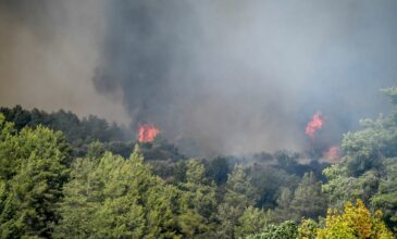 «Μάχη» με τις φλόγες στην Ηλεία – Εννέα φωτιές έχουν εκδηλωθεί από το πρωί στο νομό – Τραυματίστηκε σοβαρά πυροσβέστης