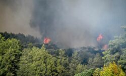 Φωτιά στο Γεράκι Αμαλιάδας: Οι βροχοπτώσεις βοηθούν τις πυροσβεστικές δυνάμεις που επιχειρούν