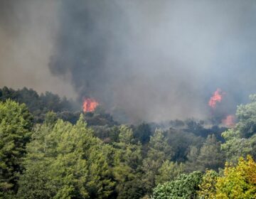 Φωτιά στο Γεράκι Αμαλιάδας: Οι βροχοπτώσεις βοηθούν τις πυροσβεστικές δυνάμεις που επιχειρούν