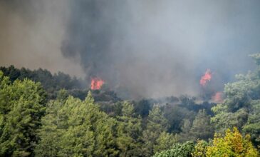 Φωτιά στο Γεράκι Αμαλιάδας: Οι βροχοπτώσεις βοηθούν τις πυροσβεστικές δυνάμεις που επιχειρούν