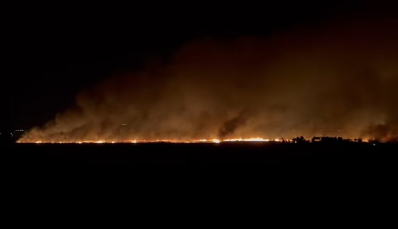 Ολονύχτια μάχη με τις φλόγες έδωσαν οι πυροσβέστες στην Αχαΐα – Απειλείται το δάσος της Στροφυλιάς