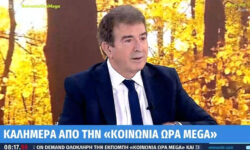 Χρυσοχοΐδης: Ξεκινά τη Δευτέρα η λειτουργία του «Safe Youth» – Φέτος στο 10μηνο του 2024 έχουμε 12.000 συλλήψεις ανηλίκων