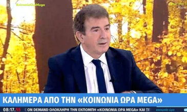 Χρυσοχοΐδης: Ξεκινά τη Δευτέρα η λειτουργία του «Safe Youth» – Φέτος στο 10μηνο του 2024 έχουμε 12.000 συλλήψεις ανηλίκων