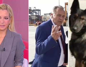 Τελωνειακός νόμιζε ότι τον φλερτάρει η Μαρία Αναστασοπούλου στον αέρα και εκείνη μίλαγε για τον… σκύλο