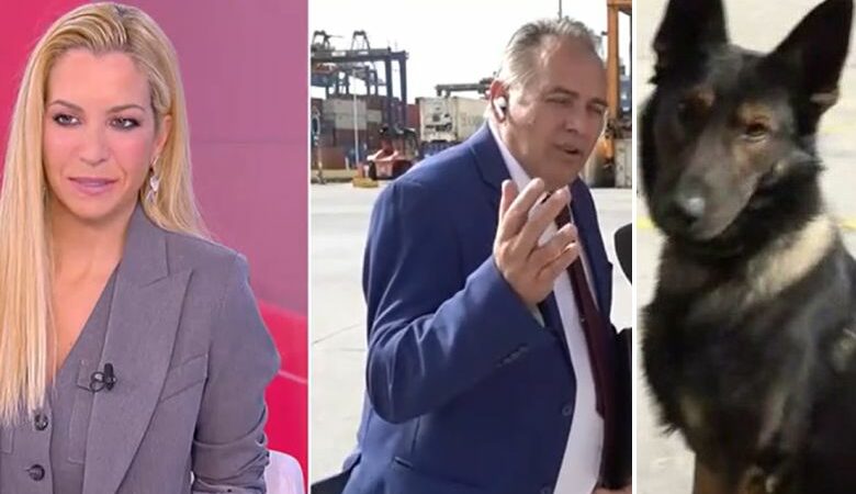 Τελωνειακός νόμιζε ότι τον φλερτάρει η Μαρία Αναστασοπούλου στον αέρα και εκείνη μίλαγε για τον… σκύλο