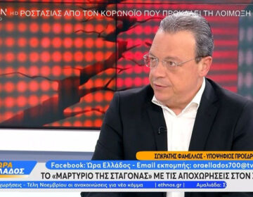 Φάμελλος: Του κ. Μητσοτάκη το σχέδιο είναι να μην έχει τον ΣΥΡΙΖΑ αξιωματική αντιπολίτευση