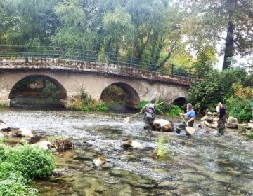 Ιχνηλατώντας το Γκαβόχελο στα Τενάγη Φιλίππων