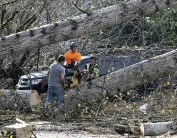 Ισχυρές καταιγίδες πλήττουν τις ΗΠΑ – Τουλάχιστον δύο νεκροί χιλιάδες νοικοκυριά και επιχειρήσεις στο σκοτάδι