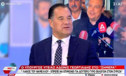 Γεωργιάδης για τον νέο πρόεδρο του ΣΥΡΙΖΑ: Λάθος του Φάμελλου που δεν πήγε σε δεύτερο γύρο, έπρεπε να επιμείνει