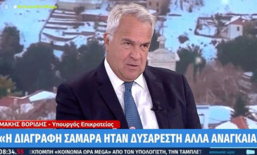 Βορίδης: Αν υπάρξουν αυξήσεις στο ρεύμα, έχουμε πει ότι θα υπάρξει παρέμβαση