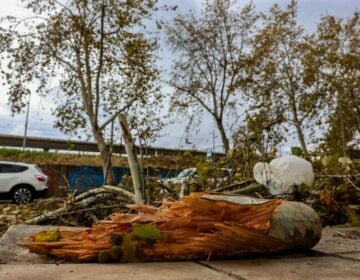 Ελέγχθηκαν τα σχολεία του δήμου Θεσσαλονίκης μετά την κακοκαιρία – Ποια θα παραμείνουν κλειστά