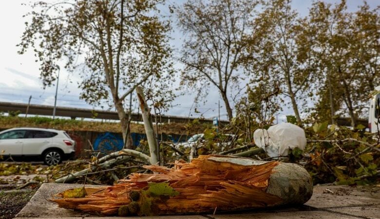 Ελέγχθηκαν τα σχολεία του δήμου Θεσσαλονίκης μετά την κακοκαιρία – Ποια θα παραμείνουν κλειστά