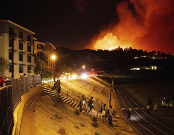 Εκκενώνεται το Μαλιμπού στην Καλιφόρνια εξαιτίας της καταστροφικής πυρκαγιάς – Δείτε φωτογραφίες