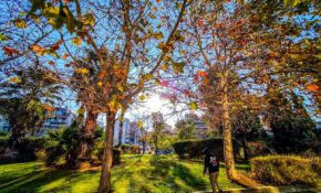 Καιρός: Άνοιξη με «χειμωνιάτικες πινελιές» – Με ηλιοφάνεια υποδεχόμαστε το Σαββατοκύριακο