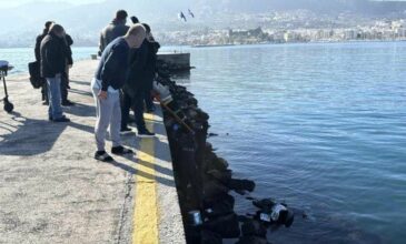 Ερασιτέχνης ψαράς έπεσε με το σκούτερ στη θάλασσα της Μυτιλήνης, αλλά σώθηκε