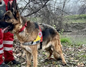 Εξαφάνιση του 39χρονου στην Λάρισα: Διασωστικά σκυλιά και ναυαγοσωστικό ρομπότ στις έρευνες