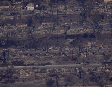 «Στάχτη» έγινε το Λος Άντζελες: Σοκάρουν τα στοιχεία της καταστροφής από τις πυρκαγιές που μαίνονται από την Τρίτη