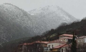 Έπεσαν τα πρώτα χιόνια στην ορεινή Ηλεία – Δείτε εικόνες