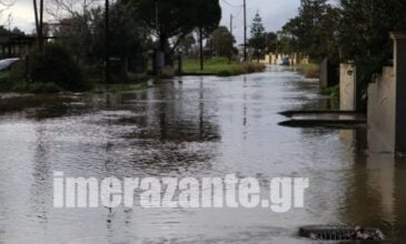 Πολλά προβλήματα στη Ζάκυνθο από την κακοκαιρία – Πλημμύρισε η Δημόσια Ιστορική Βιβλιοθήκη