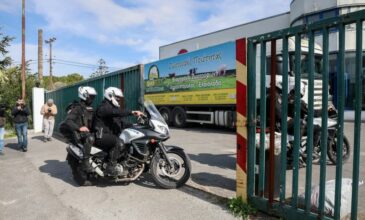 Πυροβολισμοί σε επιχείρηση με ζωοτροφές στο Ηράκλειο: Το όπλο και αρκετές σφαίρες εντοπίστηκαν στην οικεία του 79χρονου δράστη