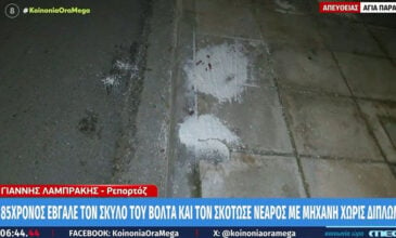 Χωρίς δίπλωμα ο 22χρονος που σκότωσε με τη μηχανή του έναν 85χρονο και τον σκύλο του στην Αγία Παρασκευή