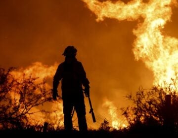 Φονικές φωτιές στην Παταγονία της Αργεντινής