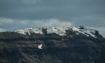 «Πρόκειται για κλασσική σμηνοσειρά – Η σεισμική δραστηριότητα δεν έχει να κάνει με τα ηφαίστεια», τονίζει ο Λέκκας