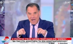 Νέα επίθεση Γεωργιάδη σε Κωνσταντοπούλου: «Έχει κακία μέσα της. Αυτήν την κυρία πάτε να υποστηρίξετε στο συλλαλητήριο»