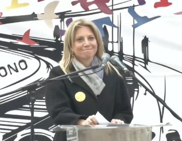 Καρυστιανού: «Φοβούνται μη τυφλωθούν από το φως που εκπέμπουμε»
