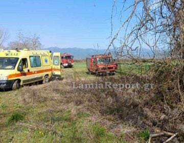 Τραγωδία στη Φθιώτιδα: Νεκρός 60χρονος εργάτης που καταπλακώθηκε από κλαδί πλατάνου