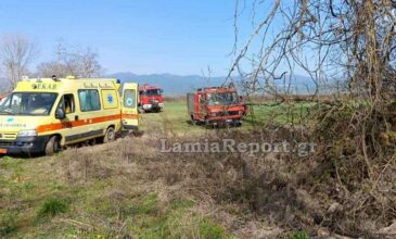 Τραγωδία στη Φθιώτιδα: Νεκρός 60χρονος εργάτης που καταπλακώθηκε από κλαδί πλατάνου