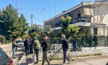 Διπλή δολοφονία στο Αίγιο: «Ήρθε στο σπίτι μετά το φονικό γεμάτος αίματα» – Η ΕΛ.ΑΣ. για τα περιστατικά βίας