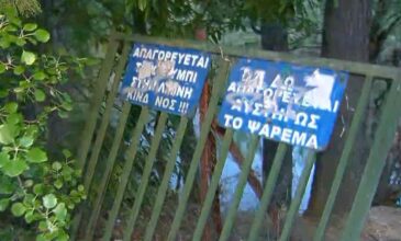 Εκτός κίνδυνου το 2χρονο αγοράκι που καταπλακώθηκε από σιδερένια πόρτα σε πάρκο
