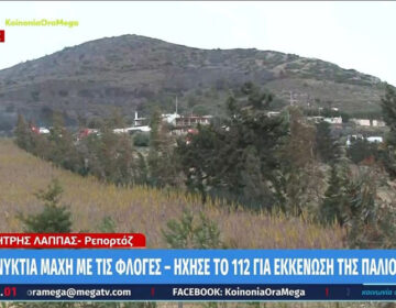 Χωρίς ενεργό μέτωπο η πυρκαγιά σε χαμηλή βλάστηση στην Κερατέα