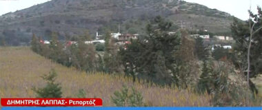 Χωρίς ενεργό μέτωπο η πυρκαγιά σε χαμηλή βλάστηση στην Κερατέα