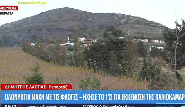Χωρίς ενεργό μέτωπο η πυρκαγιά σε χαμηλή βλάστηση στην Κερατέα