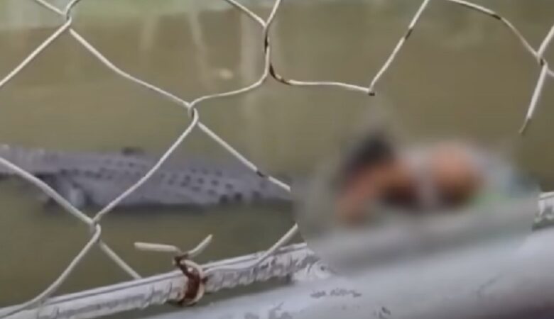 Κροκόδειλος «άρπαξε» τουρίστα που πήγε να βγάλει… selfie με το τρομακτικό ερπετό