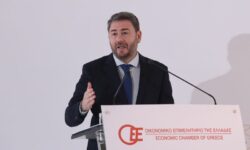 Ανδρουλάκης: Αναλαμβάνουμε πρωτοβουλία με θεσμικές παρεμβάσεις για να μπουν κανόνες στην αγορά ώστε να αντιμετωπιστεί η ακρίβεια