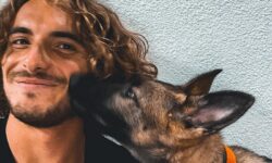 Τρίτη επίθεση του σκύλου της οικογένειας Τσιτσιπά: «Πήρε τον σκύλο και έφυγε, δεν ήρθε να ζητήσει μία συγγνώμη»