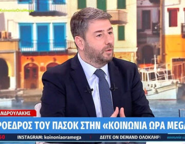 Ανδρουλάκης: «Ο Ερντογάν έθεσε ξεκάθαρα θέμα διχοτόμησης της Κύπρου και αντί να απαντήσει επισήμως η κυβέρνηση, το υποβάθμισε σε μια “διαρροή” του ΥΠΕΞ»