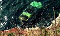 Τραγωδία στην Άνδρο: Νεκρή 68χρονη που έπεσε με το αυτοκίνητό της στη θάλασσα