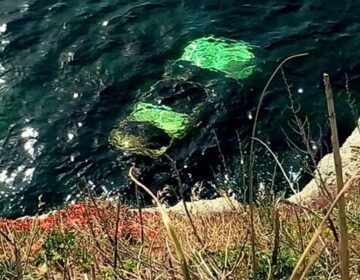 Τραγωδία στην Άνδρο: Νεκρή 68χρονη που έπεσε με το αυτοκίνητό της στη θάλασσα