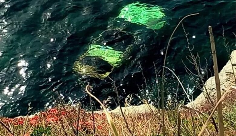 Τραγωδία στην Άνδρο: Νεκρή 68χρονη που έπεσε με το αυτοκίνητό της στη θάλασσα