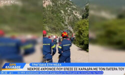 Τραγωδία στο φαράγγι της Νέδας: Νεκρός ο 4χρονος που έπεσε σε χαράδρα με τον πατέρα του